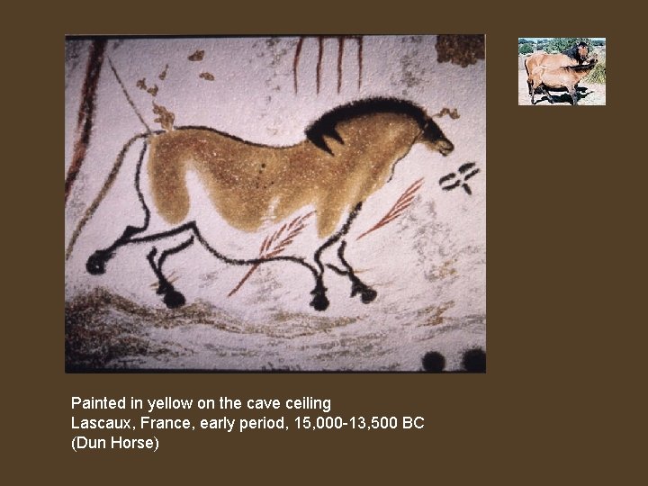 Painted in yellow on the cave ceiling Lascaux, France, early period, 15, 000 -13,