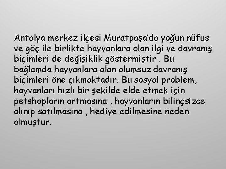 Antalya merkez ilçesi Muratpaşa’da yoğun nüfus ve göç ile birlikte hayvanlara olan ilgi ve Antalya merkez ilçesi Muratpaşa’da yoğun nüfus ve göç ile birlikte hayvanlara olan ilgi ve