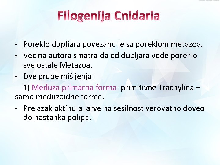 Poreklo dupljara povezano je sa poreklom metazoa. • Većina autora smatra da od dupljara Poreklo dupljara povezano je sa poreklom metazoa. • Većina autora smatra da od dupljara