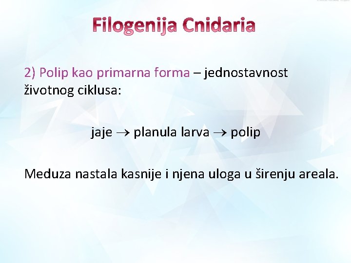 2) Polip kao primarna forma – jednostavnost životnog ciklusa: jaje planula larva polip Meduza