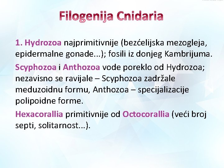 1. Hydrozoa najprimitivnije (bezćelijska mezogleja, epidermalne gonade. . . ); fosili iz donjeg Kambrijuma.