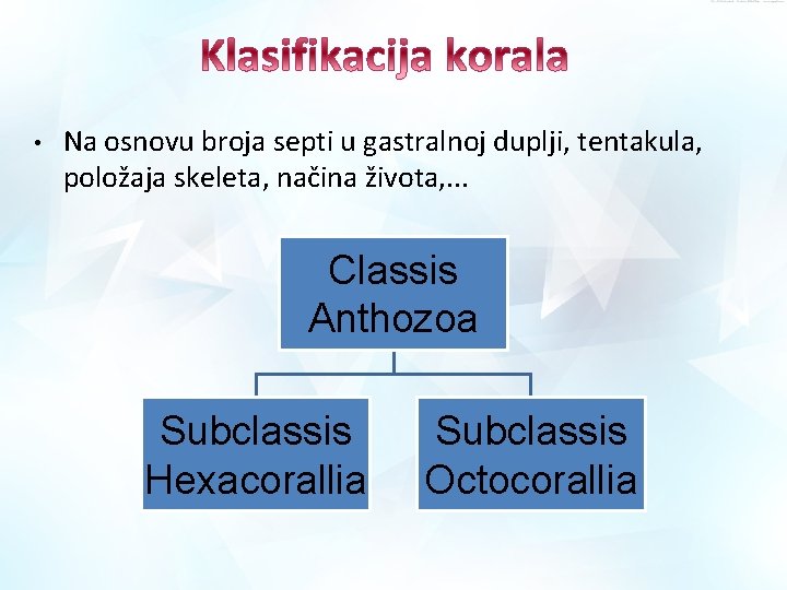 • Na osnovu broja septi u gastralnoj duplji, tentakula, položaja skeleta, načina života, • Na osnovu broja septi u gastralnoj duplji, tentakula, položaja skeleta, načina života,