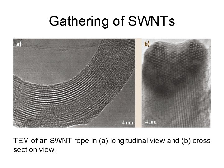 Gathering of SWNTs TEM of an SWNT rope in (a) longitudinal view and (b)