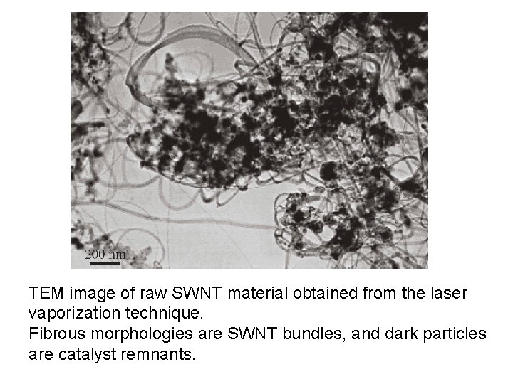 TEM image of raw SWNT material obtained from the laser vaporization technique. Fibrous morphologies