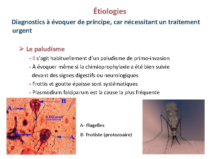 Étiologies Diagnostics à évoquer de principe, car nécessitant un traitement urgent Ø Le paludisme