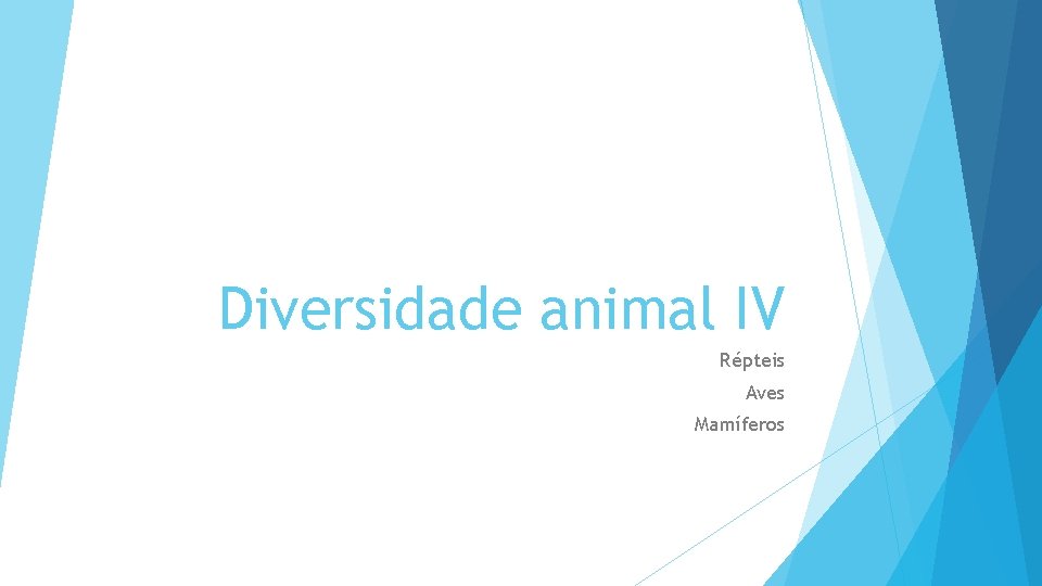 Diversidade animal IV Répteis Aves Mamíferos 