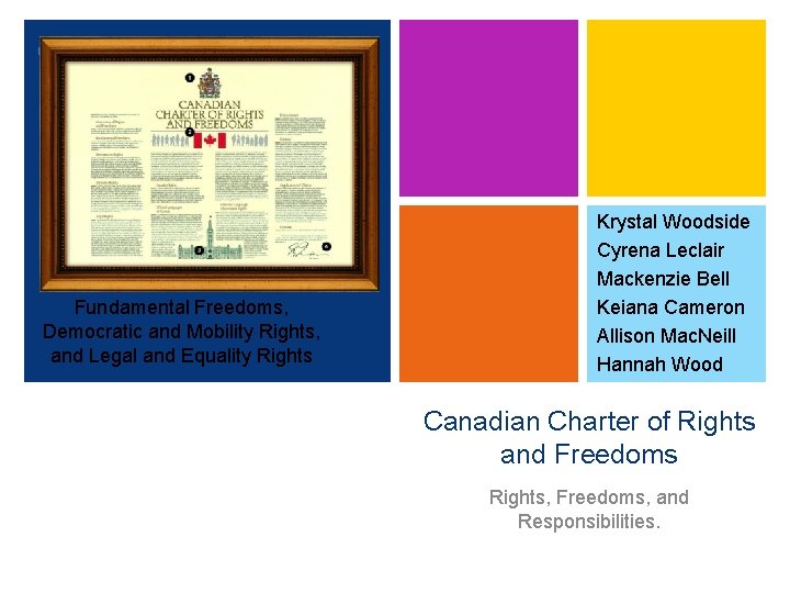 + Fundamental Freedoms, Democratic and Mobility Rights, and Legal and Equality Rights Krystal Woodside