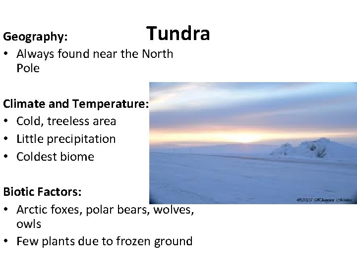 Tundra Geography: • Always found near the North Pole Climate and Temperature: • Cold,