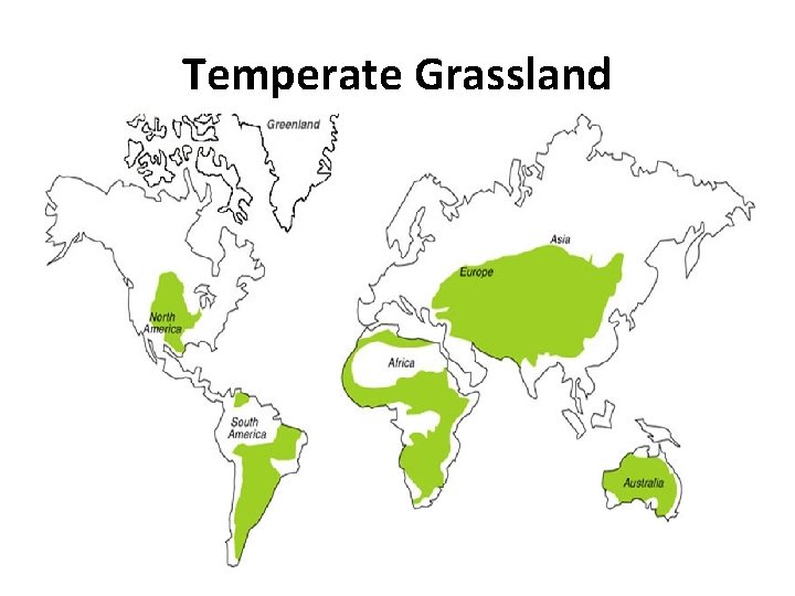 Temperate Grassland 