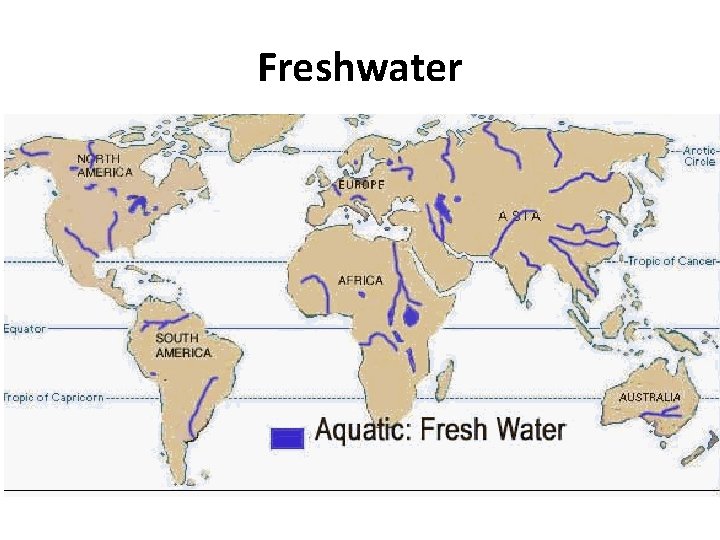 Freshwater 