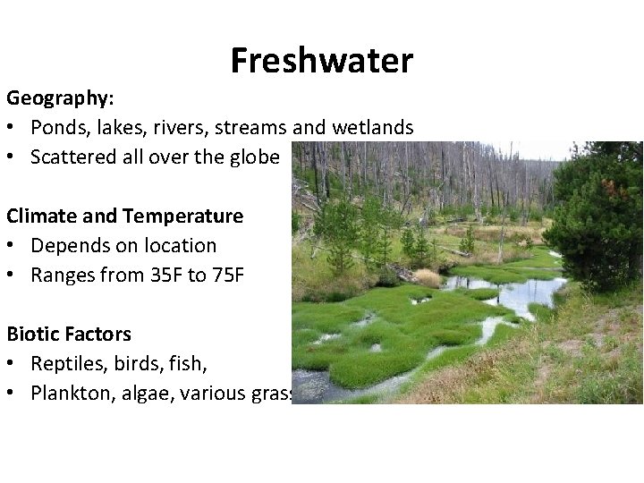 Freshwater Geography: • Ponds, lakes, rivers, streams and wetlands • Scattered all over the