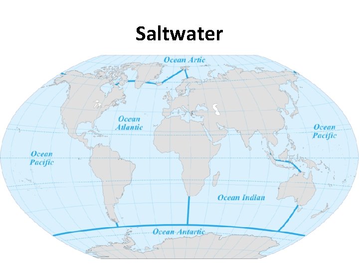 Saltwater 