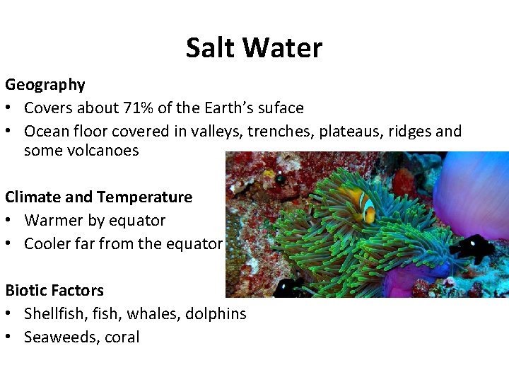 Salt Water Geography • Covers about 71% of the Earth’s suface • Ocean floor