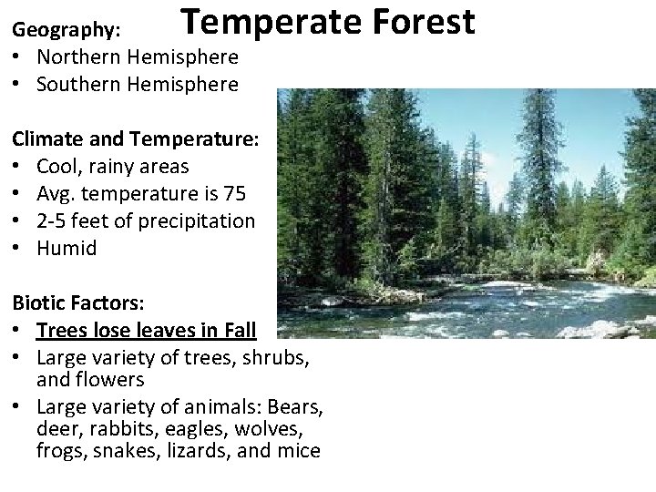 Temperate Forest Geography: • Northern Hemisphere • Southern Hemisphere Climate and Temperature: • Cool,