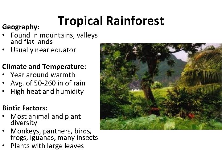 Tropical Rainforest Geography: • Found in mountains, valleys and flat lands • Usually near