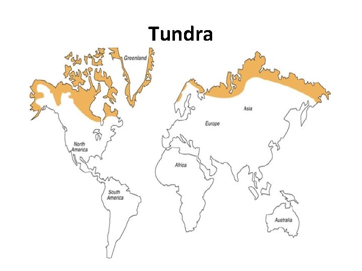 Tundra 