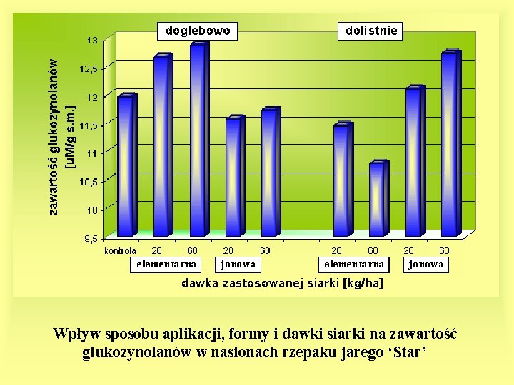 Wpływ sposobu aplikacji, formy i dawki siarki na zawartość glukozynolanów w nasionach rzepaku jarego