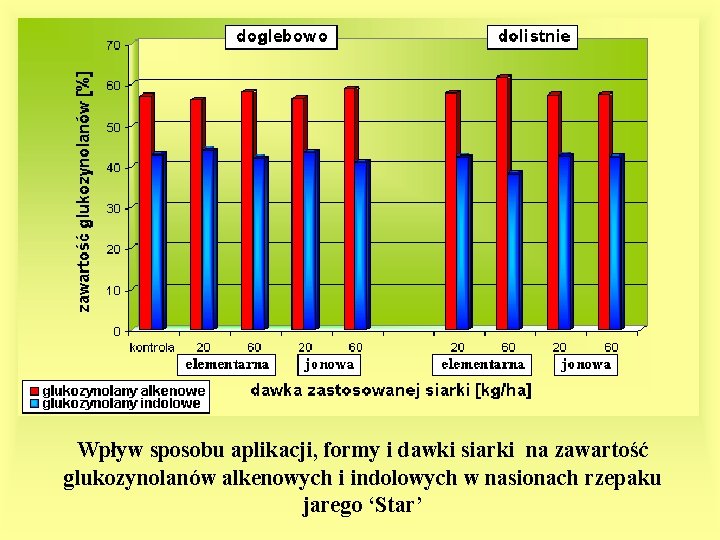 Wpływ sposobu aplikacji, formy i dawki siarki na zawartość glukozynolanów alkenowych i indolowych w