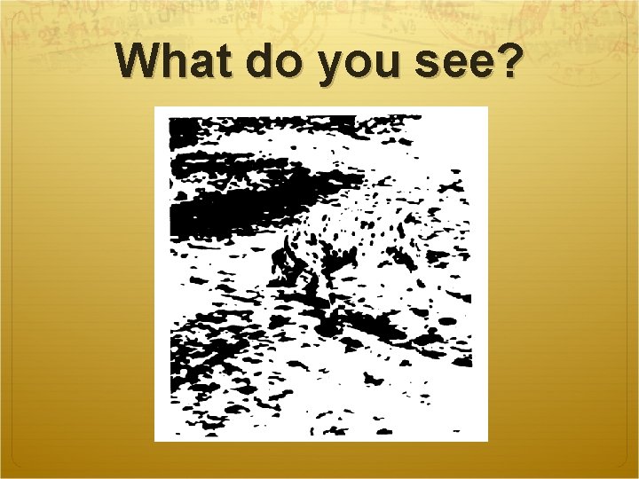 What do you see? 