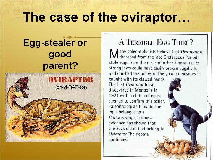 The case of the oviraptor… Egg-stealer or good parent? 