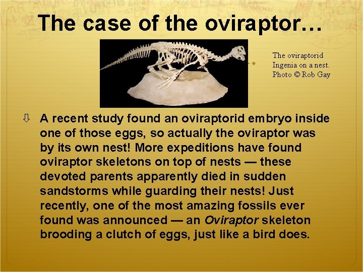 The case of the oviraptor… The oviraptorid Ingenia on a nest. Photo © Rob
