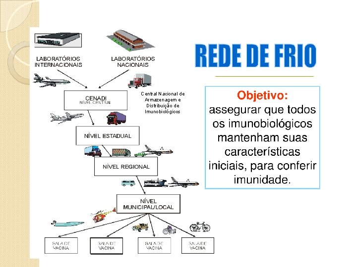 Central Nacional de Armazenagem e Distribuição de Imunobiológicos 