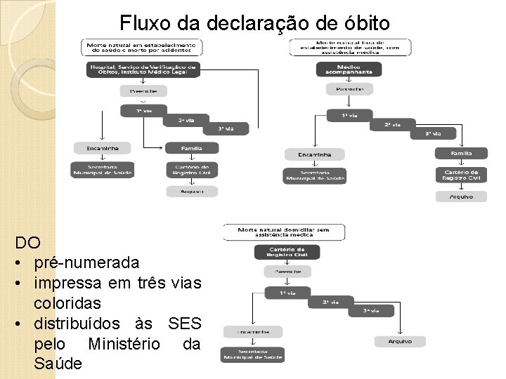 Fluxo da declaração de óbito DO • pré-numerada • impressa em três vias coloridas