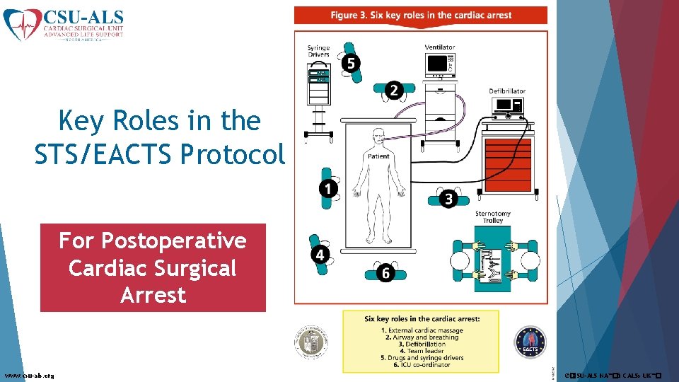 Key Roles in the STS/EACTS Protocol For Postoperative Cardiac Surgical Arrest www. csu-als. org