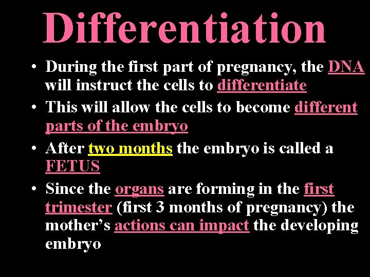 Differentiation • During the first part of pregnancy, the DNA will instruct the cells Differentiation • During the first part of pregnancy, the DNA will instruct the cells