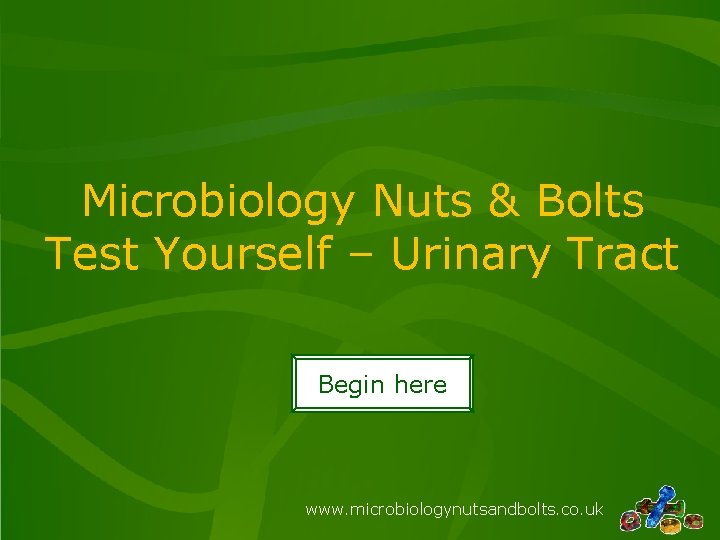 Microbiology Nuts & Bolts Test Yourself – Urinary Tract Begin here www. microbiologynutsandbolts. co.