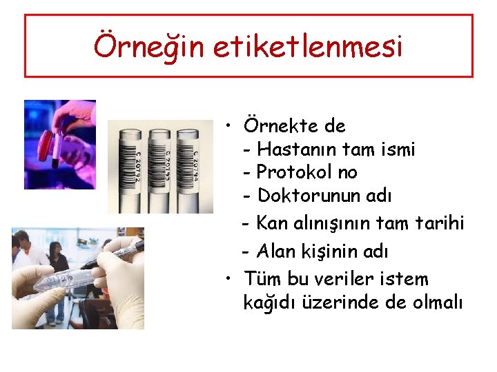 Örneğin etiketlenmesi • Örnekte de - Hastanın tam ismi - Protokol no - Doktorunun