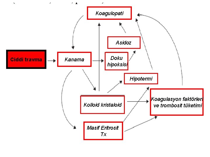 Koagulopati Asidoz Ciddi travma Kanama Doku hipoksisi Hipotermi Kolloid kristaloid Masif Eritrosit Tx Koagulasyon