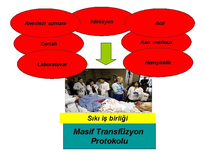 Anestezi uzmanı Klinisyen Acil Kan merkezi Cerrah Hemşirelik Laboratuvar Sıkı iş birliği Masif Transfüzyon