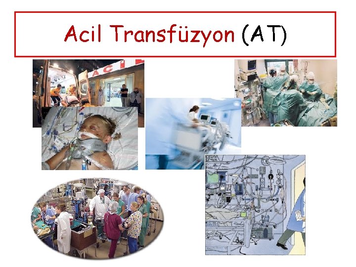 Acil Transfüzyon (AT) 