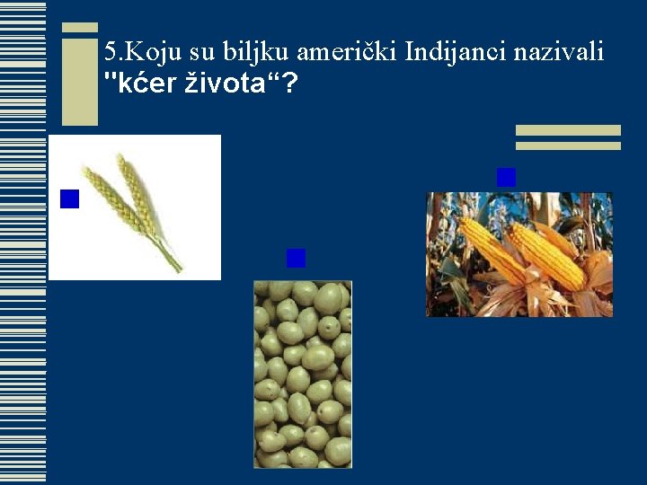 5. Koju su biljku američki Indijanci nazivali "kćer života“? 5. Koju su biljku američki Indijanci nazivali "kćer života“?