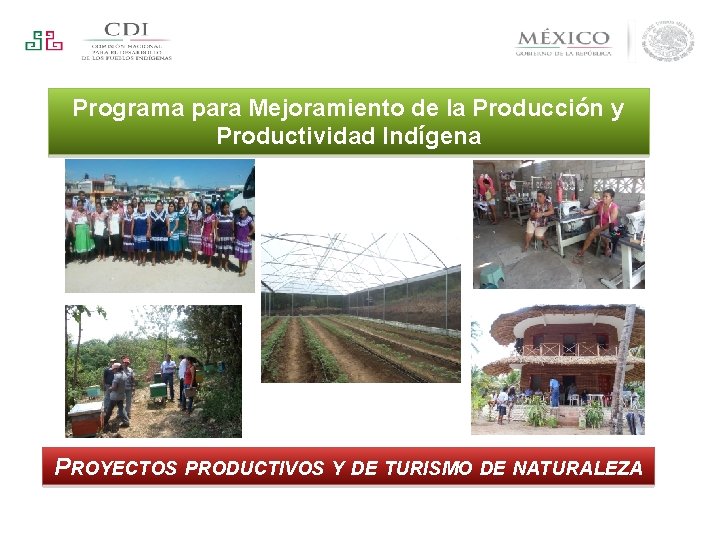 Programa para Mejoramiento de la Producción y Productividad Indígena PROYECTOS PRODUCTIVOS Y DE TURISMO