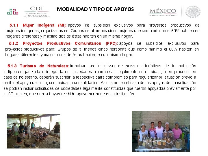 MODALIDAD Y TIPO DE APOYOS 5. 1. 1 Mujer Indígena (MI): apoyos de subsidios