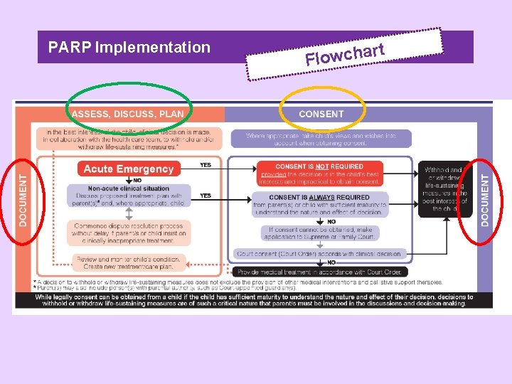 PARP Implementation rt a h c w o l F 