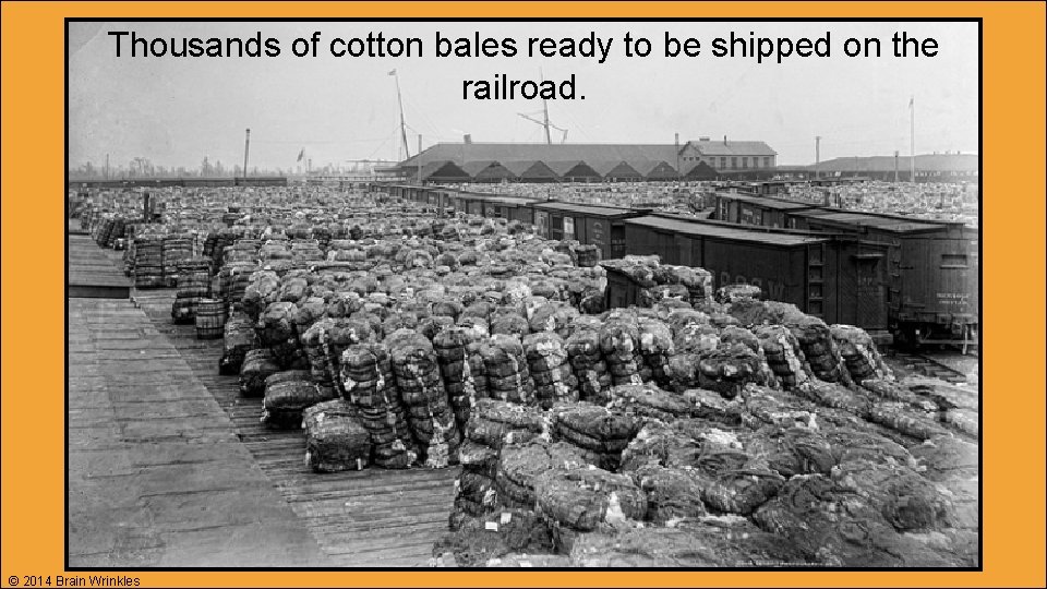Thousands of cotton bales ready to be shipped on the railroad. © 2014 Brain