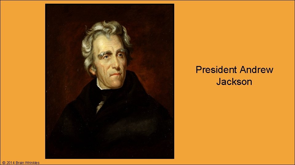 President Andrew Jackson © 2014 Brain Wrinkles 