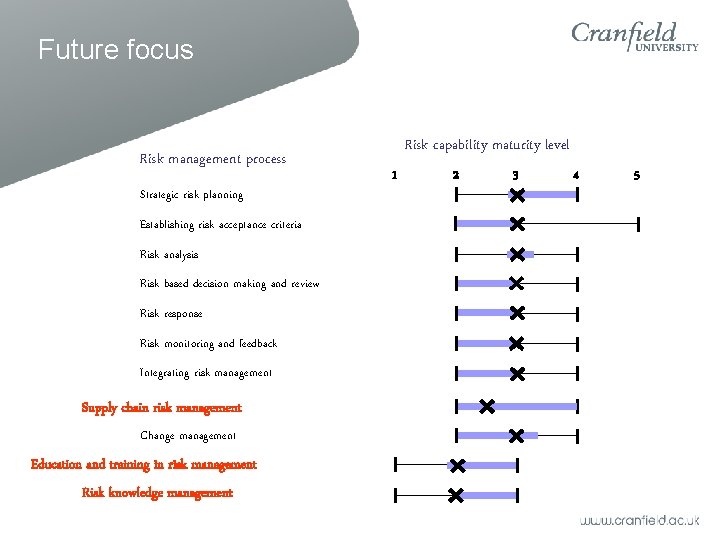 Future focus Risk management process Strategic risk planning Establishing risk acceptance criteria Risk analysis