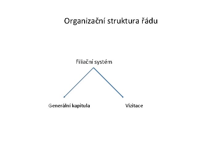 Organizační struktura řádu Filiační systém Generální kapitula Vizitace 