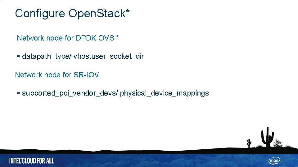 Configure Open. Stack* Network node for DPDK OVS * datapath_type/ vhostuser_socket_dir Network node for