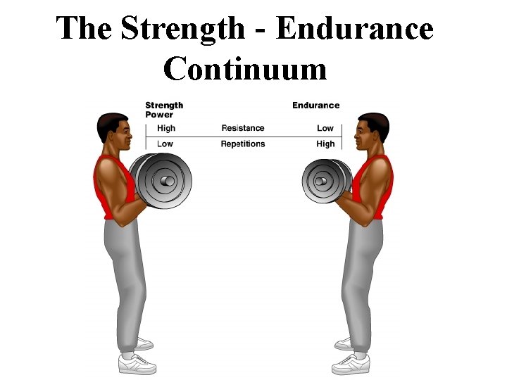The Strength - Endurance Continuum 