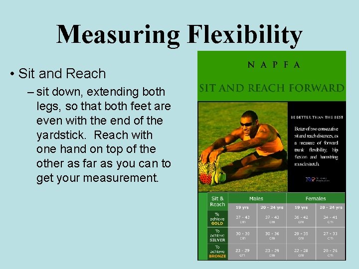 Measuring Flexibility • Sit and Reach – sit down, extending both legs, so that