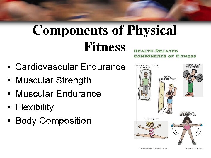Components of Physical Fitness • • • Cardiovascular Endurance Muscular Strength Muscular Endurance Flexibility
