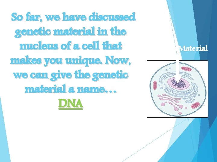 So far, we have discussed genetic material in the nucleus of a cell that