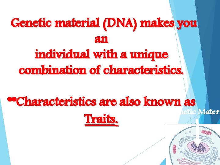 Genetic material (DNA) makes you an individual with a unique combination of characteristics. **Characteristics