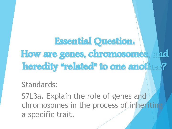 Essential Question: How are genes, chromosomes, and heredity “related” to one another? Standards: S