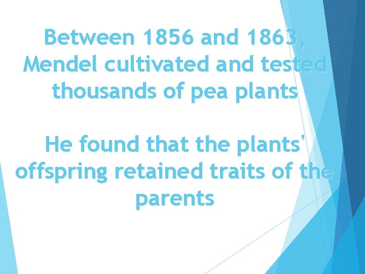 Between 1856 and 1863, Mendel cultivated and tested thousands of pea plants He found
